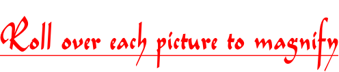 Roll over each picture to magnify